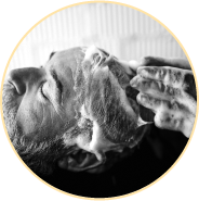 Imagen del masaje del cuero cabelludo en blanco y negro